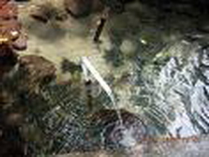 Pemandian Mata air Hasan