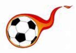 20 Gibol Bermasalah Diamankan