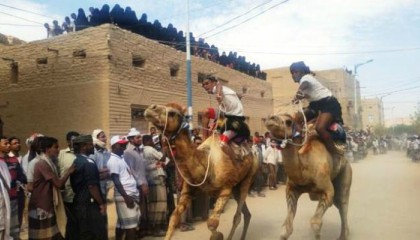 Pacuan Onta di Kota Tarim Meriah