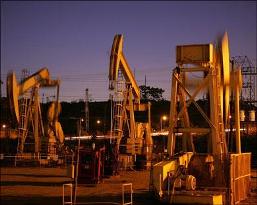 Perusahaan Rusia Nyatakan Minat Investasi di Yaman