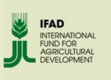 IFAD Alokasikan  Proyek Investasi Di Yaman