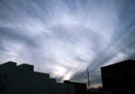 Presiden Serukan Salat Istisqa