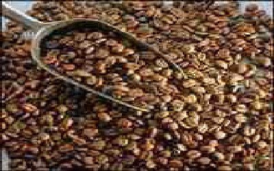 Ekspor Kopi Yaman Capai 6200 Ton