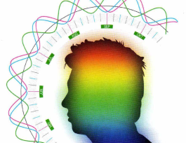 Yaman Turut Dalam Rapat Kementerian Pendidikan Teluk