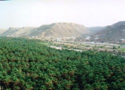 Petani di Hadhramaut Mendapat Pinjaman Lunak