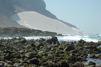 Cagar Alam di Hadhramaut Raih Penghargaan Dunia