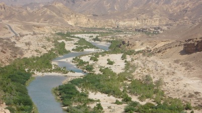 Sektor Pertanian di Hadhramaut Terus Dikembangkan