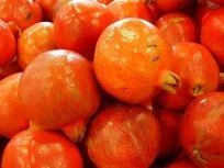 Produski Delima Tahun 2007 Capai 24 Ton