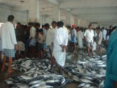 Yaman-UNDP Tinjau Ulang Kerjasama Di Sektor  Perikanan