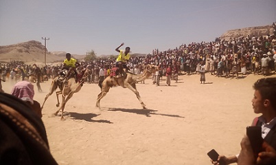 Rally Hajn Di Qasam Timur Tarim
