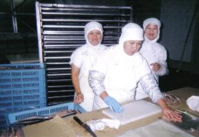 Akhir 2009 Jumlah Pengngguran Menurun