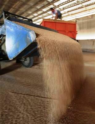 23 Ribu Ton Gandum Rusia Dibongkar Di Aden