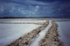 Garam Yaman Masuk Pasar Eropa