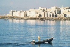 Kotak Tender Pesisir Hadhramaut Dibuka