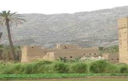 Konsultan Swiss untuk Proyek Pembangunan Pertanian di Hadhramaut