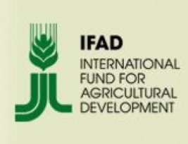 IFAD Bahas Persiapan Akhir Proyek Perikanan di Yaman