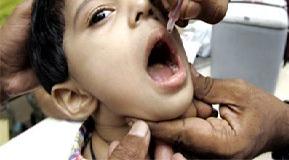 Hindari Polio, Hadhramaut Sebar Imunisasi 