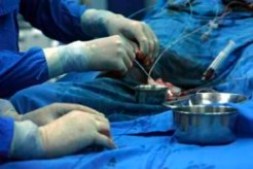 1500 Operasi Jantung Oleh Dokter Luar