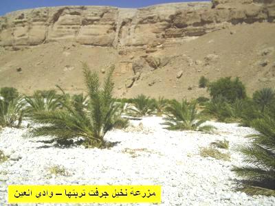 Total Bantu Pertanian di Hadhramaut