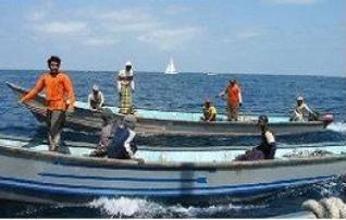 Produksi Ikan Provinsi Mahrah Capai 8 Ribu Ton di Kuartal Pertama Tahun InI 