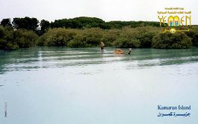 Pendapatan Sektor Pariwisata Mencapai 90 Milyar