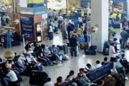 Sampai Saat Ini Yaman Bebas Flu Babi