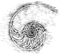 Mentri Kebudayaan Buka Forum Seni Rupa Arab 