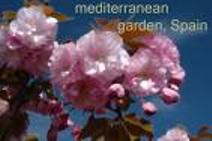 Pejabat Kuwait Puji Pameran Yaman di Expo 2008 Spanyol