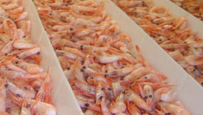 Kerjasama Dagang Yaman -Negara-Negara Arab Naik 3,13%